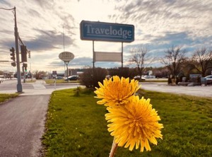 Travelodge | Shakopee