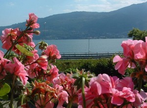 Tre Ponti Tipo | Localita Tre Ponti