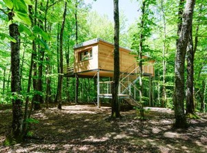 Treehouse | Lovinac