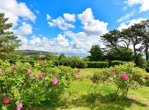 Trefaes Bach | Abersoch