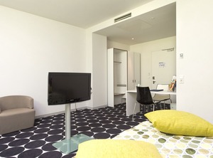 Tryp | Gallus