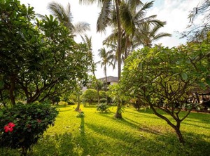Doubletree Resort | Nungwi