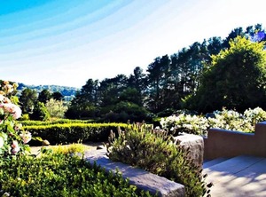 Tussie Mussie Vineyard Retreat Lodge | Merricks North