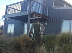 Tussock Waipiata | Waipiata