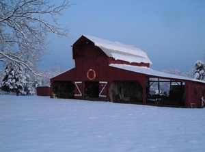 Cottage Acre Cattle Farm | Ridge