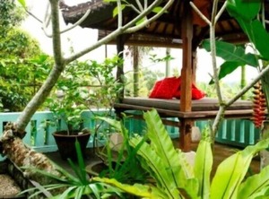 Ubud Valley Atmosphere | Penestanan