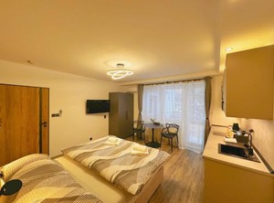 U | Brno
