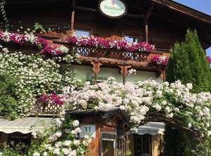 Haus Marchegg | Steinberg am Rofan