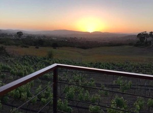 Uvauva | San Antonio de las Minas
