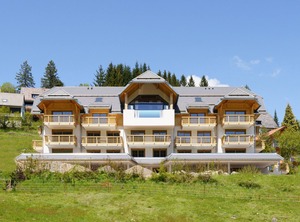 Schwarzenbach Apartments Feldberg Lhs | Altglashutten
