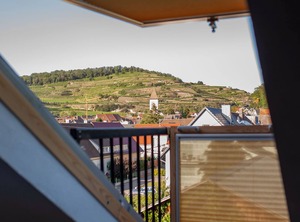 Bioweingut Bertram Isele Vogtsburg Lhs | Achkarren