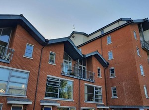 Vetrelax Colchester | Colchester