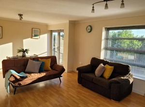 Vetrelax Colchester | Colchester
