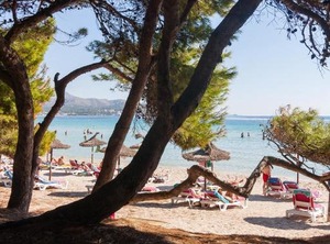 Vidalba | Alcudia