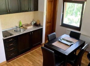 Vila Darija Zlatar Apartman Br | Zlatibor