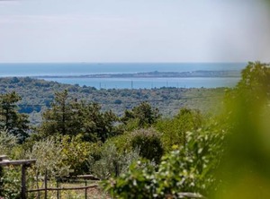 Villa Sistiana | Miren-Kostanjevica