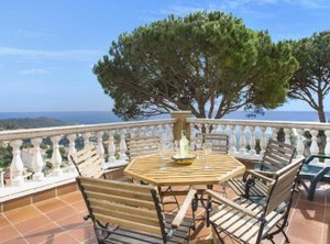 Crisantemo | Lloret de Mar