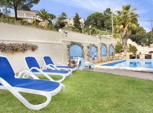 Crisantemo | Lloret de Mar