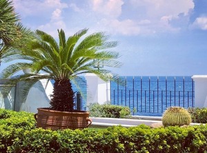 Villa Dolphin | Egira