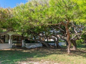 Villa Franciscus | Muro