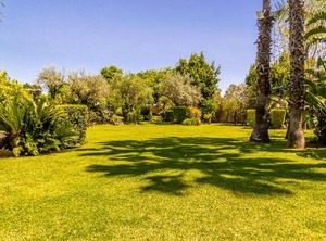 Gialla | Aci Sant'Antonio