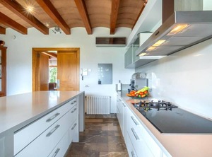 Ses Rentadores | Selva
