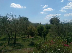 Villa Monnalisa Pian Di Scò Persons | Pian di Sco