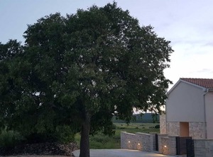 Villa Paula | Stankovci