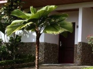 Volcano Hotel Experience | Palma