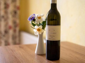 Weingut | Kitzeck im Sausal
