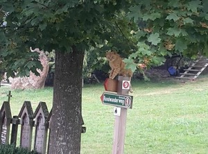 Ferienhof Schmalzgrub Böbrach | Bobrach