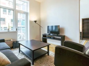Apt Williamsburg | Williamsburg