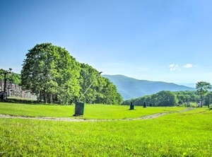 Mountain Inn Wintergreen Resort | Wintergreen