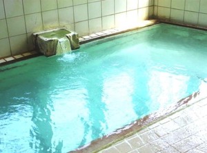Yoshidaya Ryokan | Zaoonsen