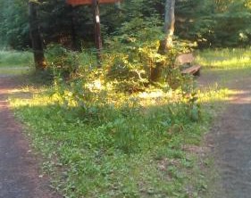 Zimmervermietung Pargen | Daun