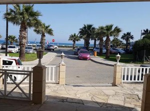 Zorbas Sea No | Larnaca
