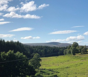 Accommodation Tomatin 