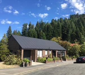 Alpine Avenue 