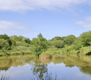 Accommodation Bridestowe Okehampton 