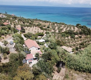 The Beach 