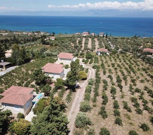 Holiday The Country Terrace Messenia Peloponnese 