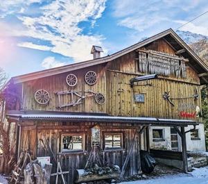 Haflingerhof 