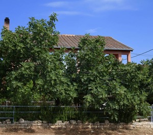 Terrace Sea Karin Gornji Novigrad 