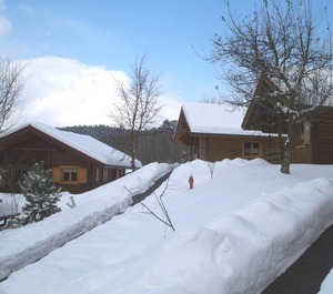 Blockhaus Hedwig Haus 