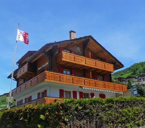 Bergfink 