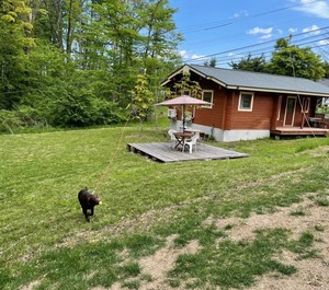 Cottage 