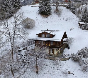 Drei Tannen 