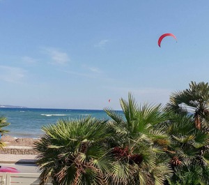 Lerins 