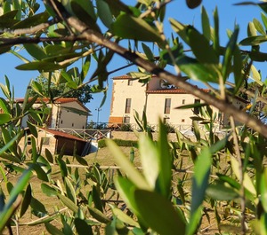 Villa Francia Palaia 
