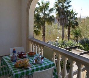The Beach Garden 